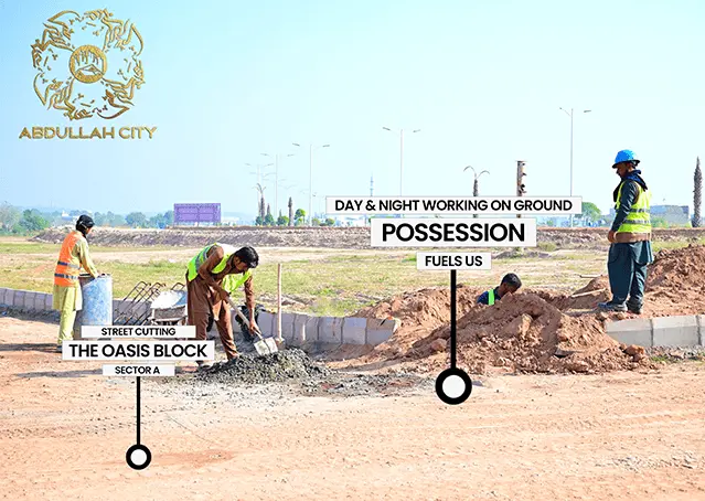 66450Artboard 4 (1) (1).webp